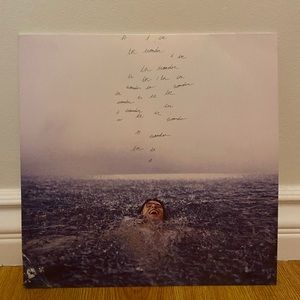 Shawn Mendes Wonder Vinyl- Gold